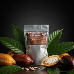 CACAO BANGALA